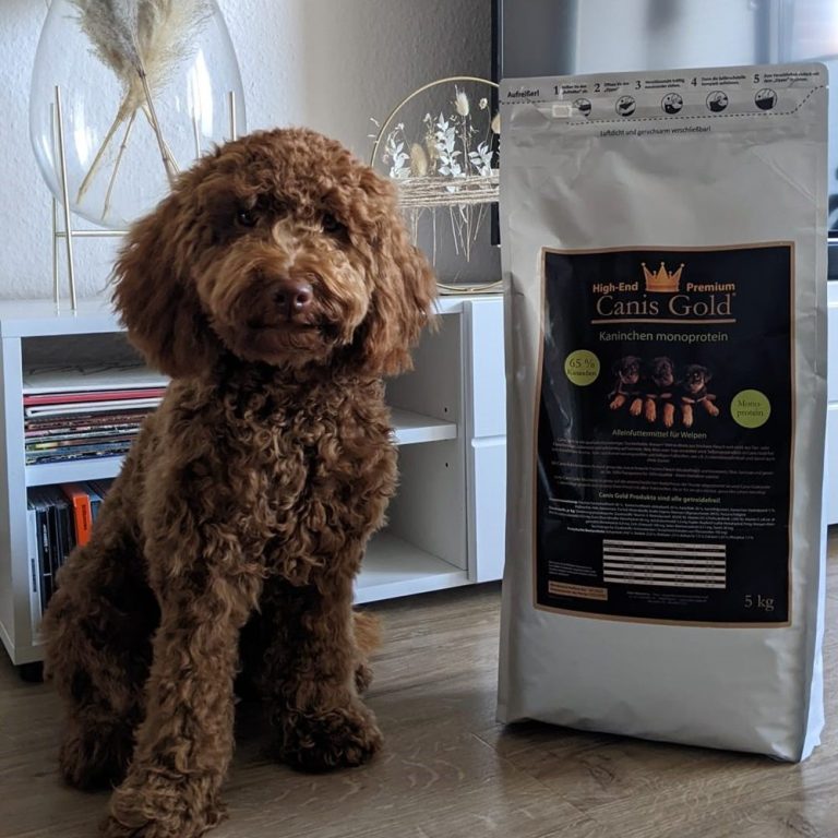 Cansi Gold Welpen und Junghund Futter Welpenfutter getreidefrei mit Kaninchen